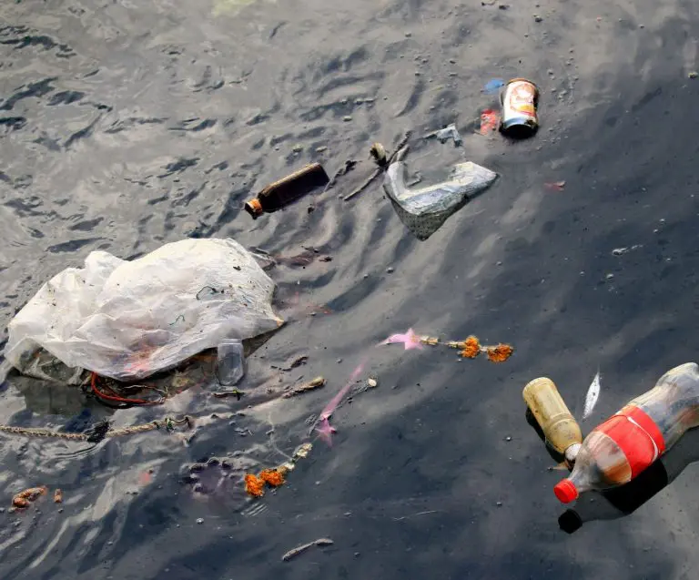 Why buying plastic bottles spells disaster for our ocean&rsquo;s