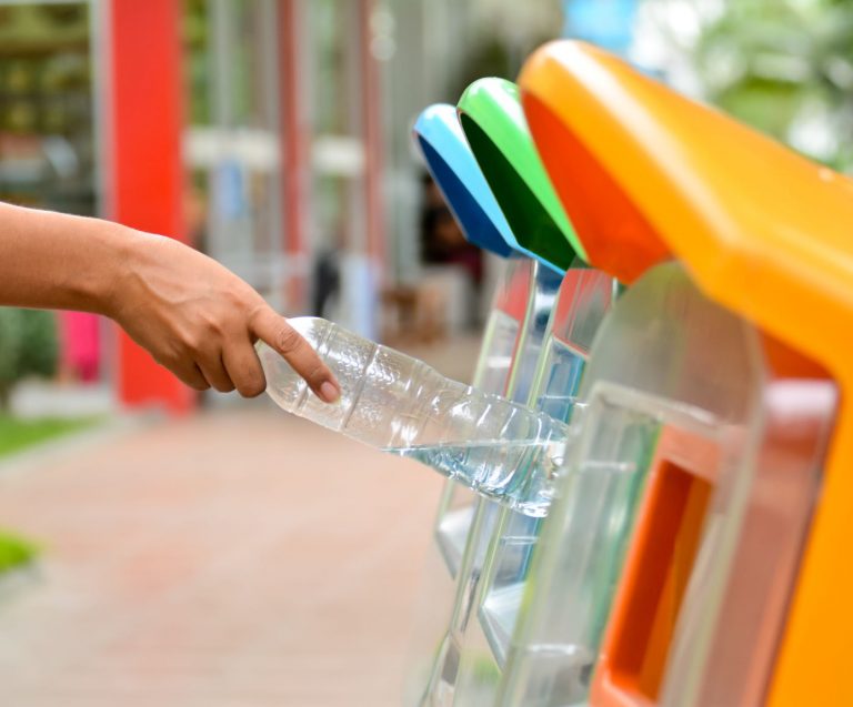 Water bottles: Why plastic eating mushrooms will only be part of the solution