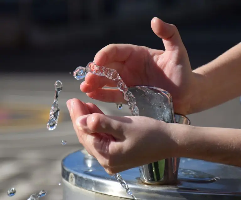 MIW goes back to school to help pupils go green