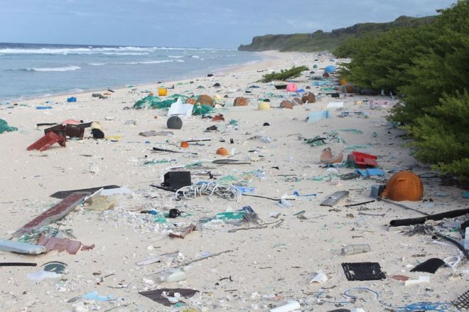 Henderson Island - Pacific Ocean