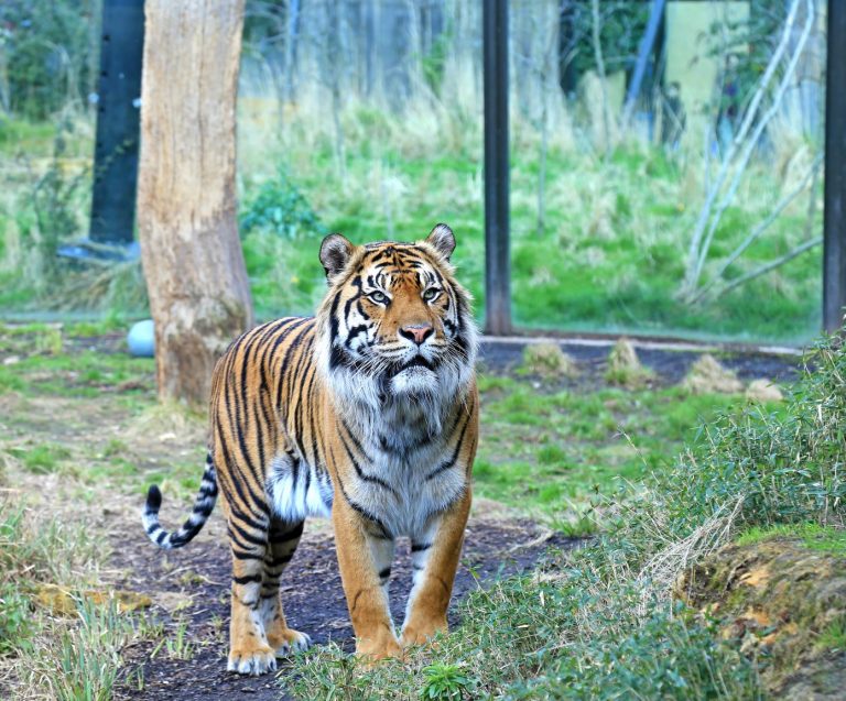 London Zoo Is Bottling It
