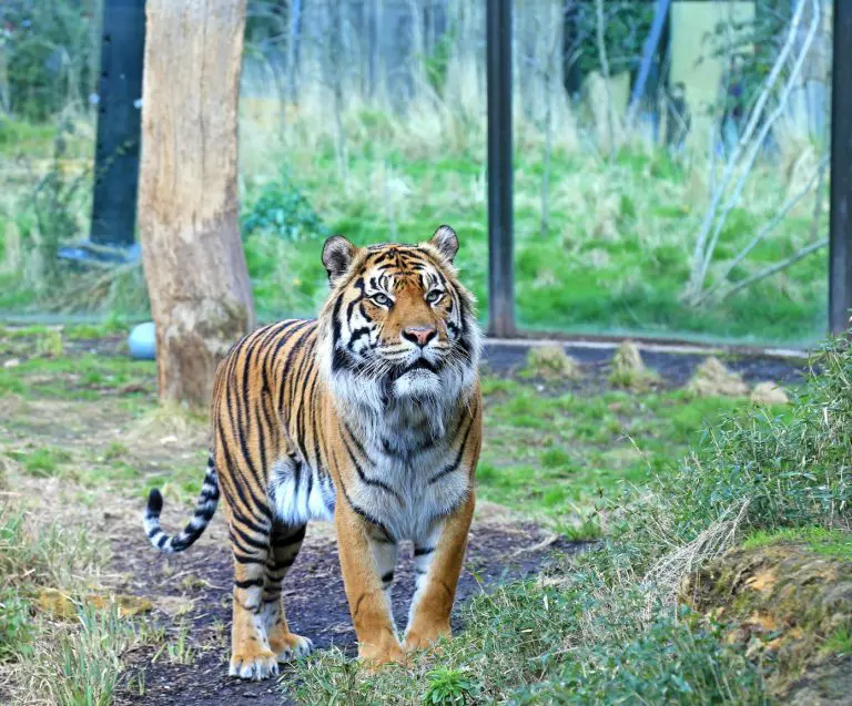 London Zoo Is Bottling It