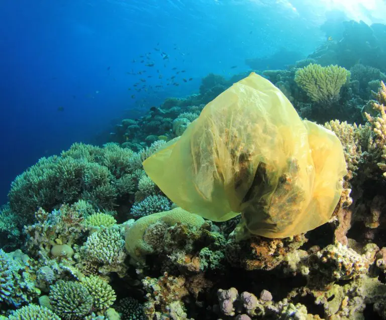 #OneLess Could make the Difference