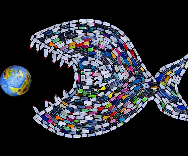 UN Delivers Global Christmas Present – A Promise to Stop Ocean Plastic Waste