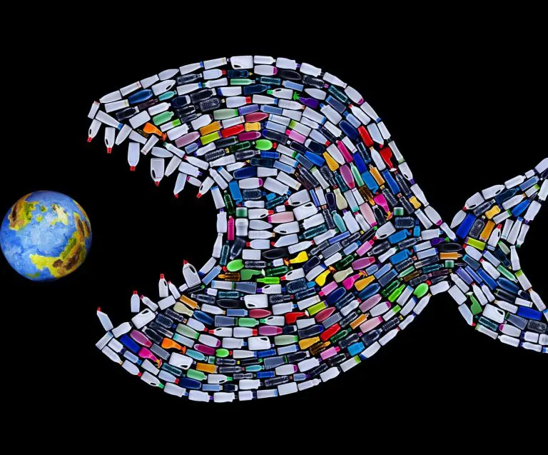 UN Delivers Global Christmas Present &ndash; A Promise to Stop Ocean Plastic Waste