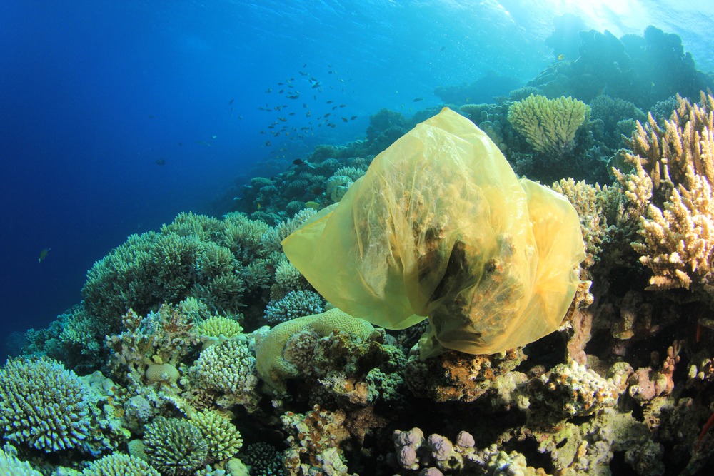 Plastic in our oceans 