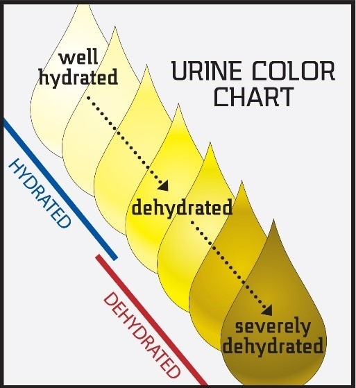 Urine colour chart