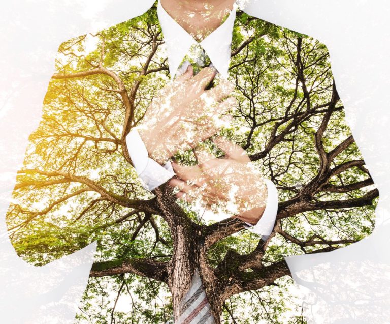 Five Simple Ways to Make a Greener Workspace