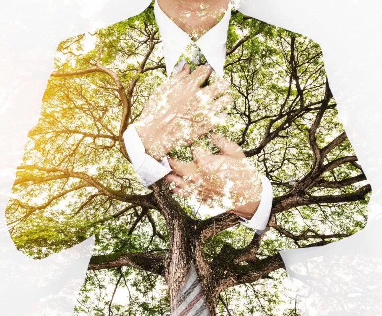 Five Simple Ways to Make a Greener Workspace