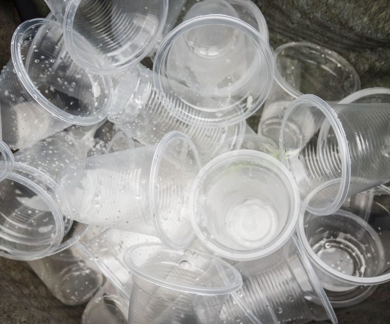 Building A Plastic-Free Future