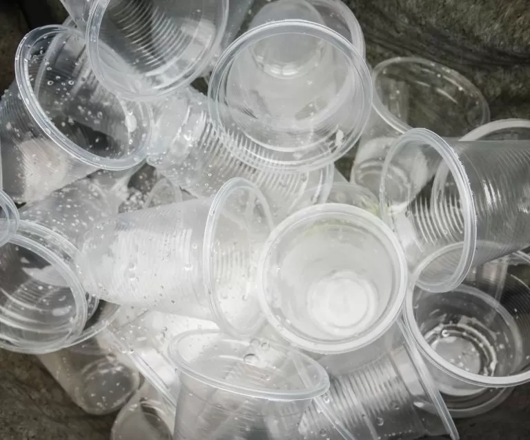 Building A Plastic-Free Future