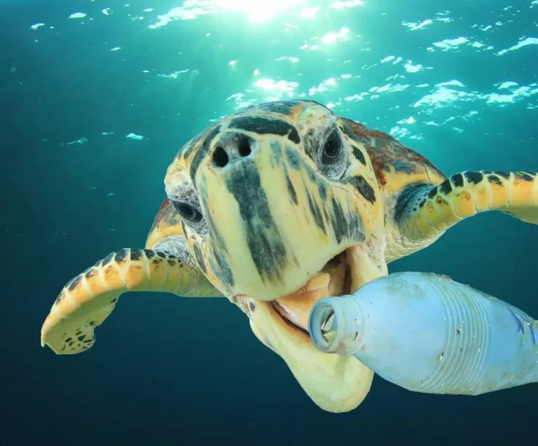 Can We Beat the EU at Its Own Game?