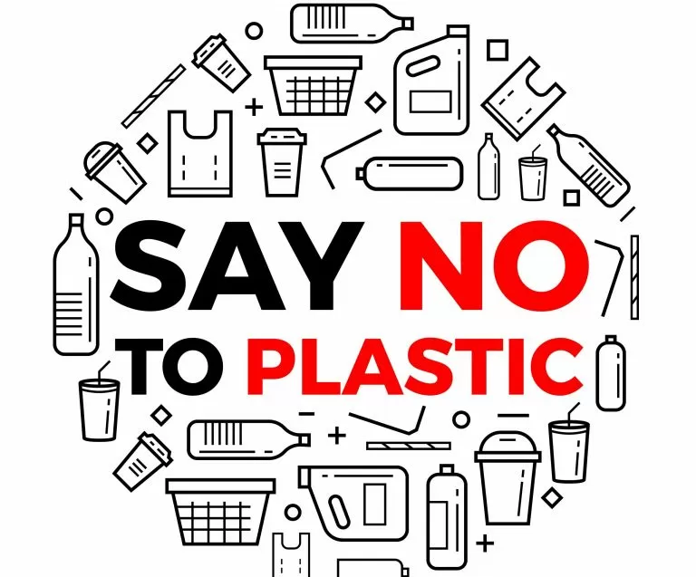 A Bude-iful Crowd-Funding Idea