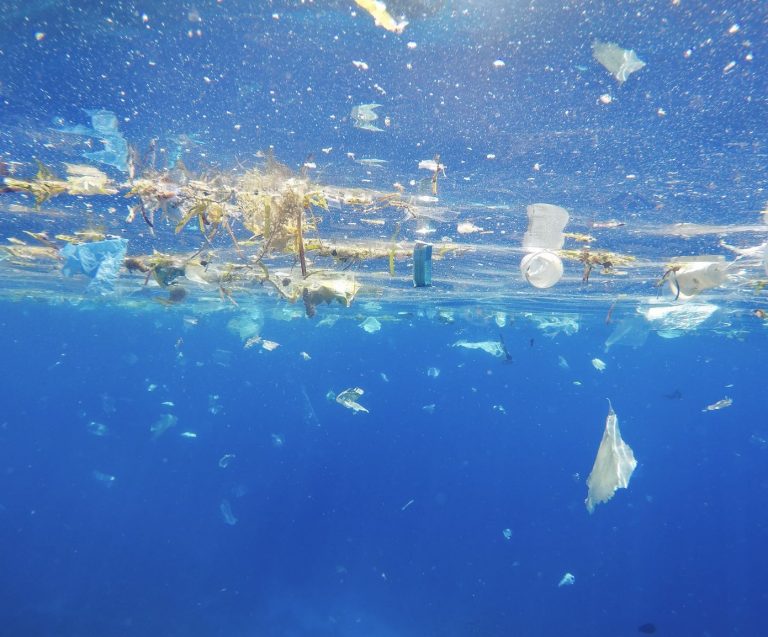 Why Single-Use Plastic Cups Are A Thing of the Past