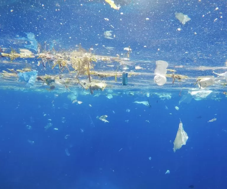 Why Single-Use Plastic Cups Are A Thing of the Past