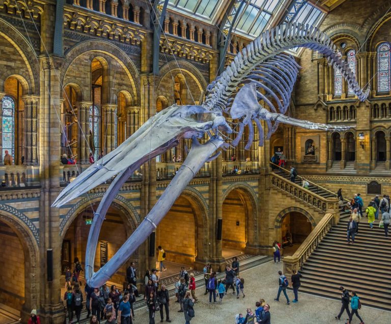 New #OneLess Drinking Fountain is a Roaring Success at the Natural History Museum