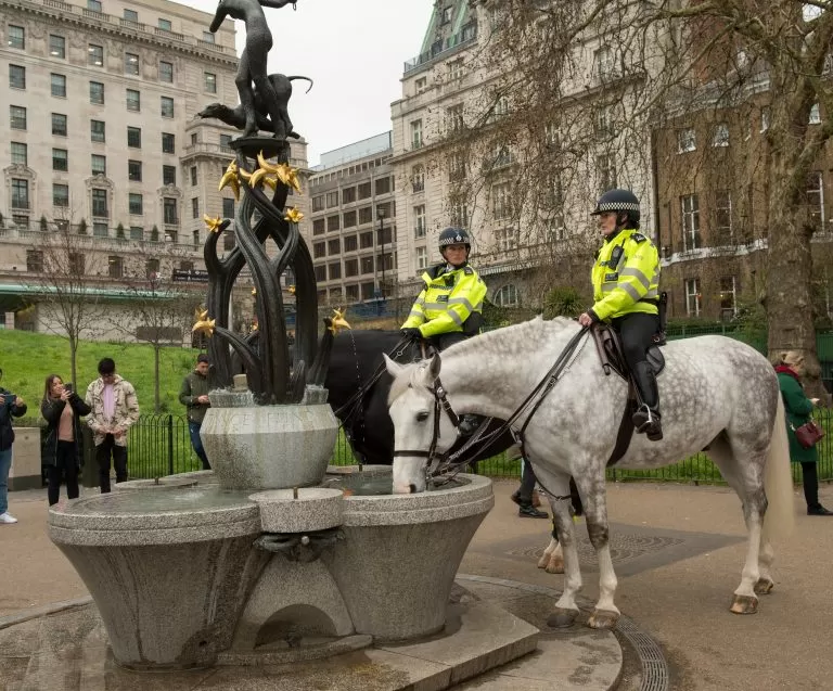 MIW London Drinking Fountain Fund Update