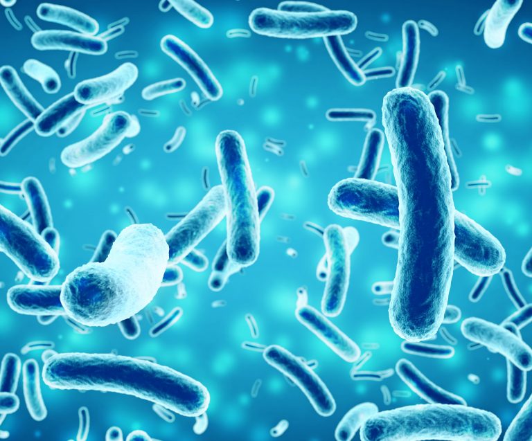 UV Water Treatment vs Bacteria and Viruses – All You Need to Know