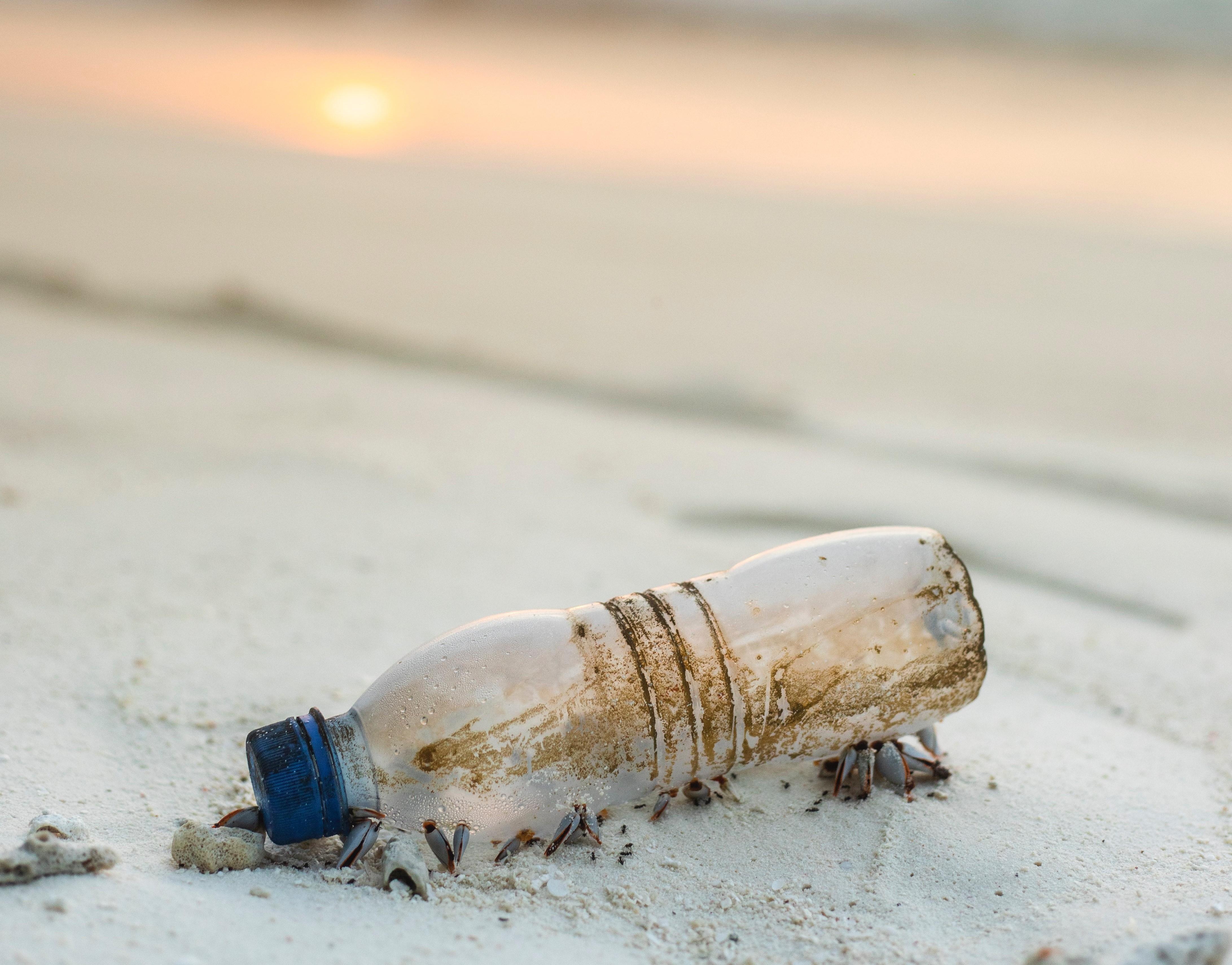 Plastic bottle lying on the beach.
