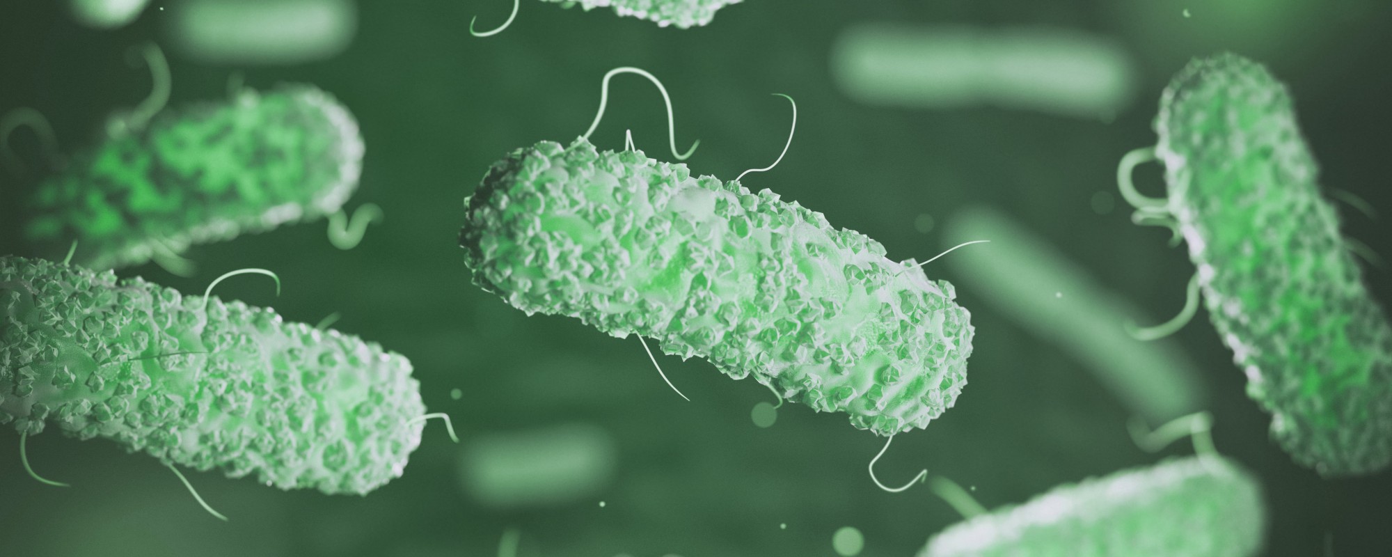 Can You Find Legionella in Your Water Cooler? MIW Water Cooler Experts
