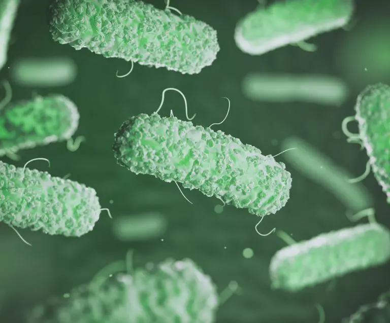 Can You Find Legionella in Your Water Cooler?