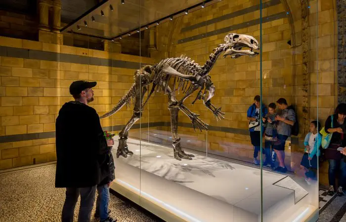 Natural History Museum