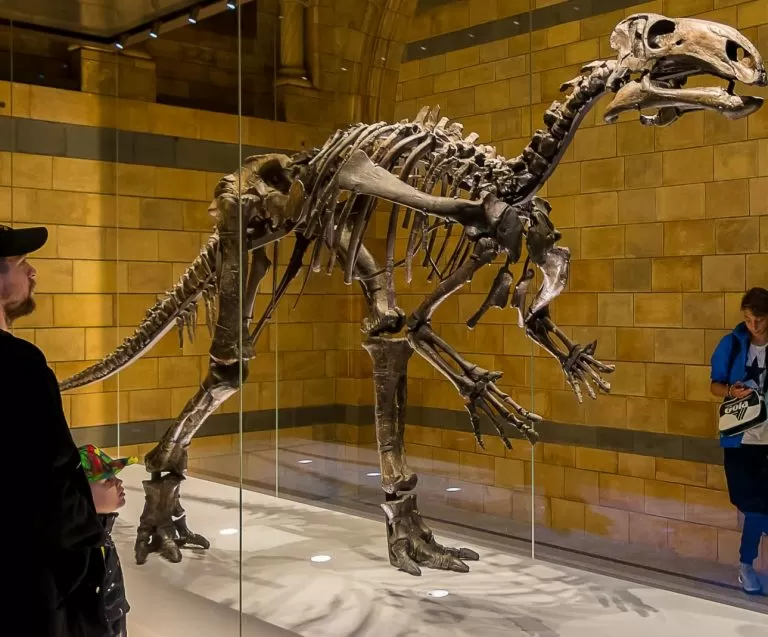 MIW Takes Its Place at the UK&rsquo;s Fourth Largest Visitor Attraction &ndash; The Natural History Museum
