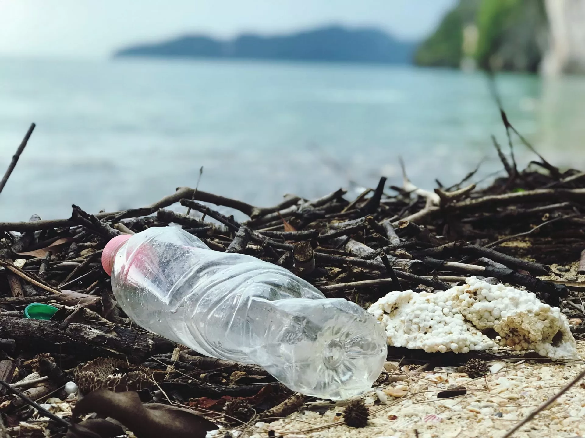 Single-use plastic bottles are destroying our oceans and beaches