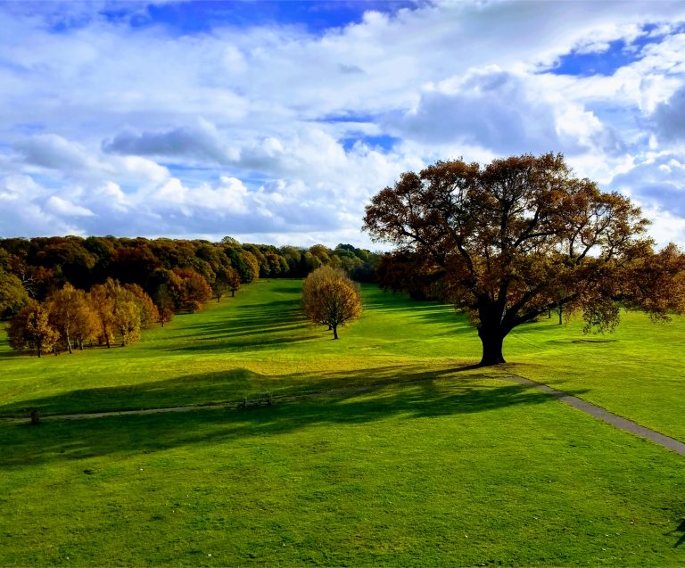 Lewisham Council Purchases Two More Water Fill Up Stations