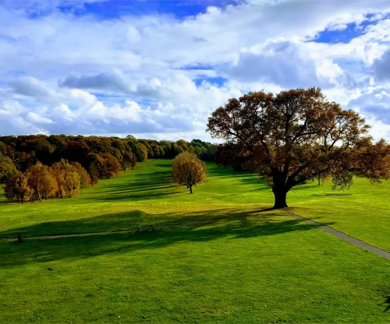 Lewisham Council Purchases Two More Water Fill Up Stations